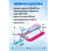 Снегокат Ника Единорог ТС2-М-ДМ/ЕР